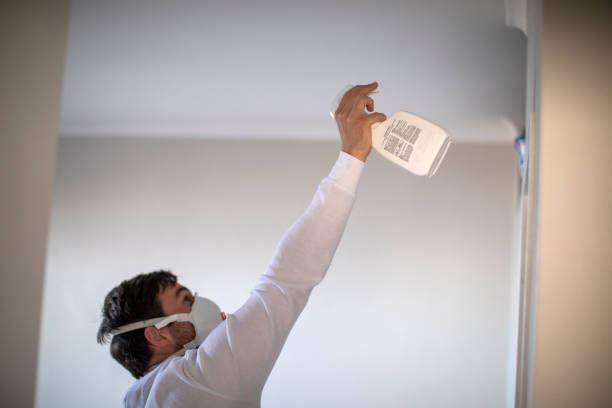Best Office Mold Removal Services  in Bemidji, MN