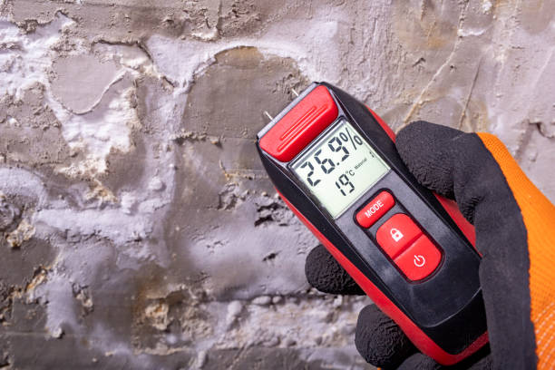 Best Water Damage Restoration  in Bemidji, MN